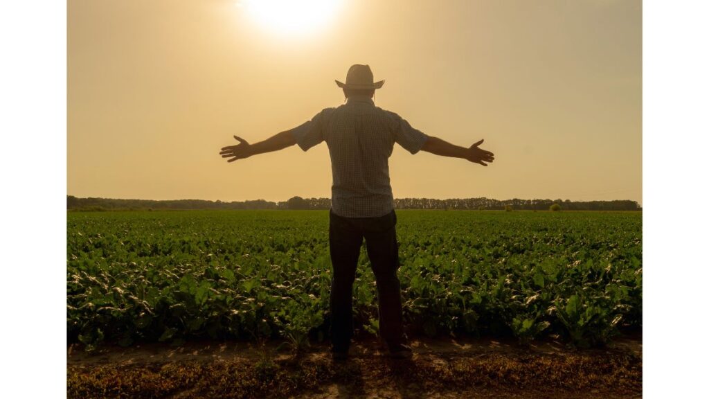 Letra de Crédito do Agronegócio (LCA)